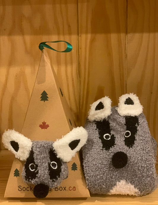 Racoon 2.0 Socks in a Box