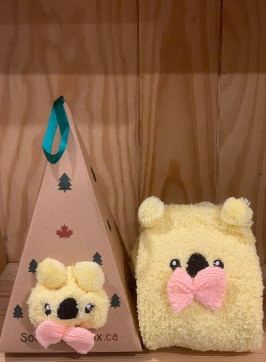 Kuala Bear Socks in a Box