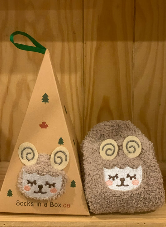 Brown Sheep Slipper Socks in a Box