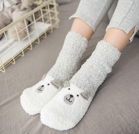 Polar Bear Socks in a Box