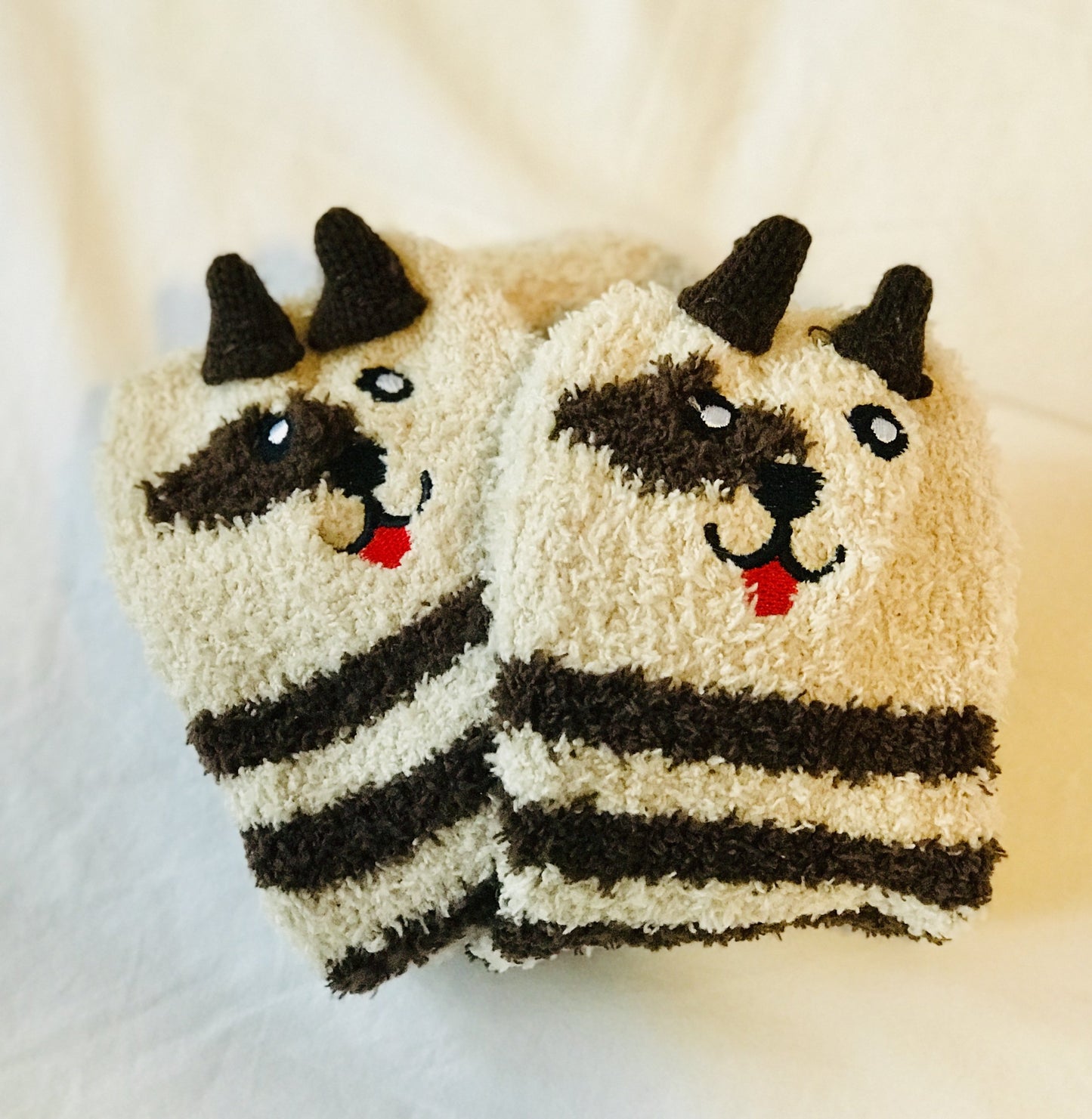 Brown Puppy Socks in a Box