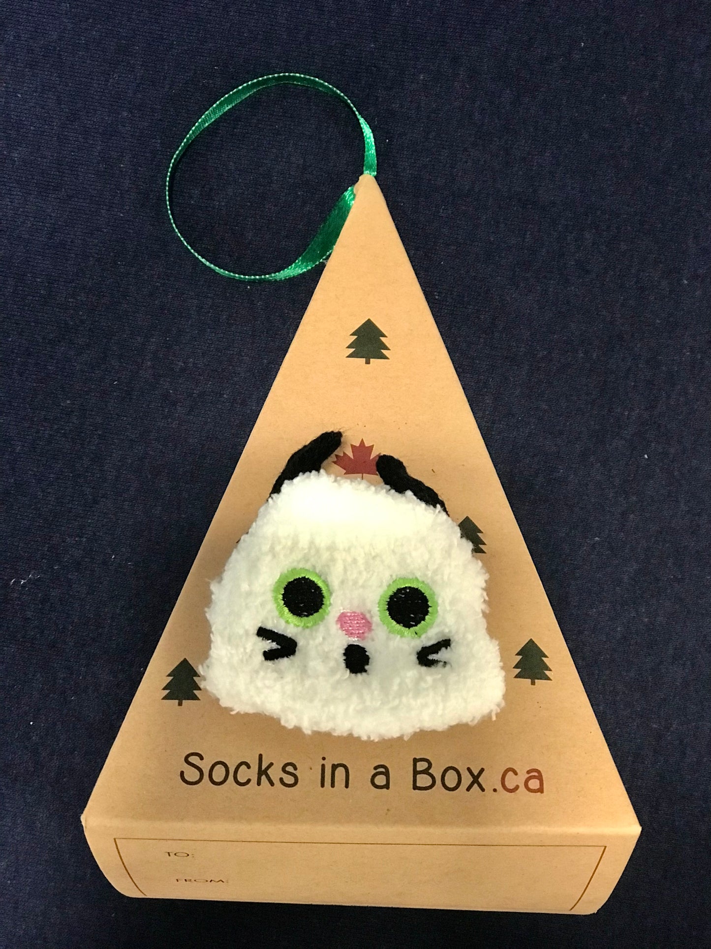 White Kitty Cat with paws Socks in a Box