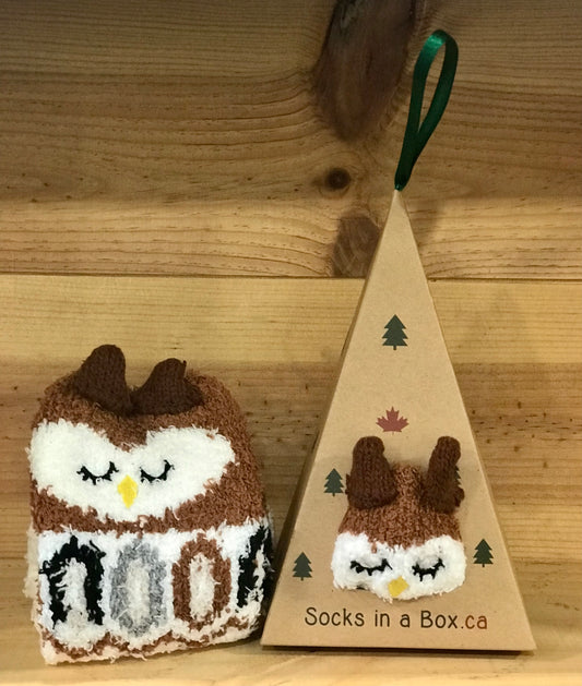 Owl Socks in a Box