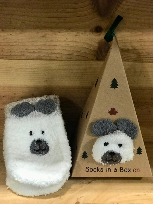 Polar Bear Socks in a Box