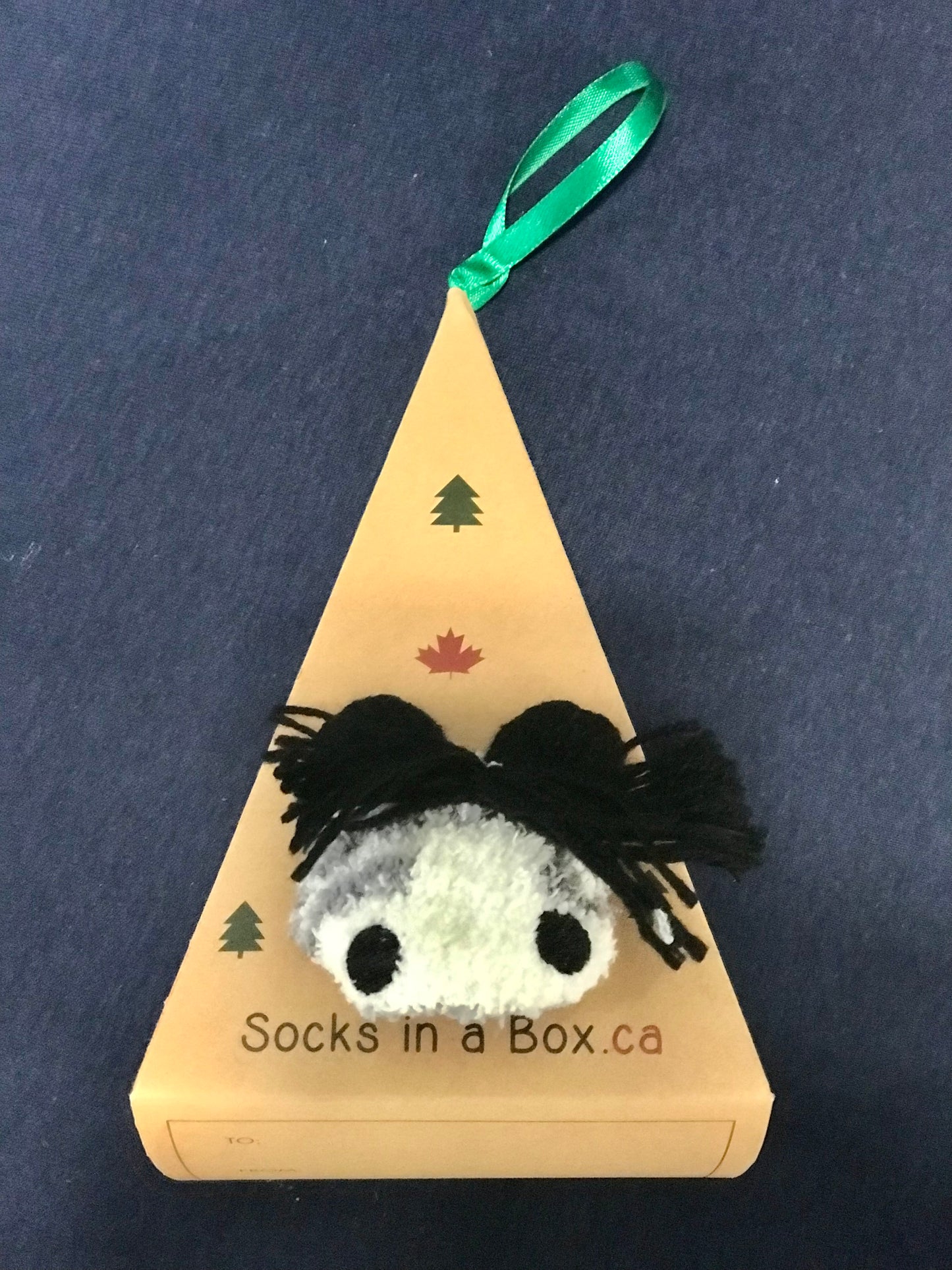 Zebra Socks in a Box