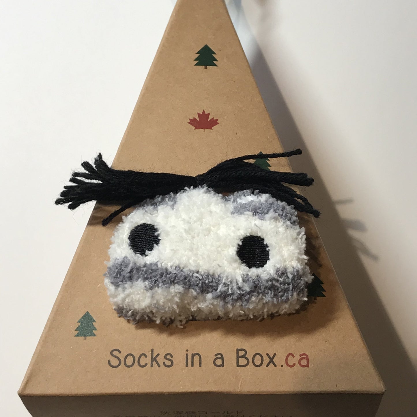 Zebra Socks in a Box