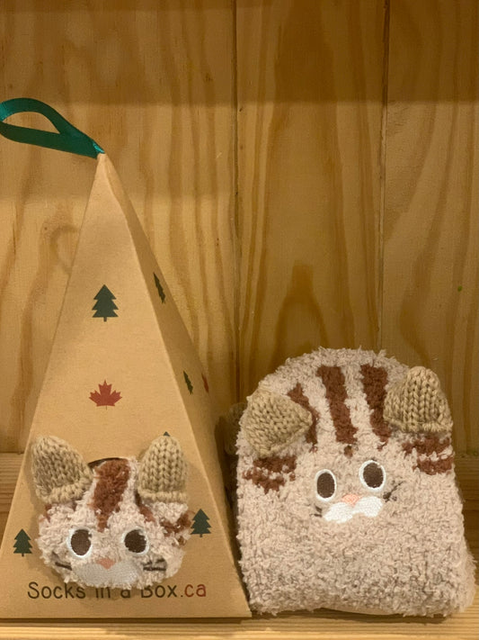 Brown Cat Slipper Socks in a Box