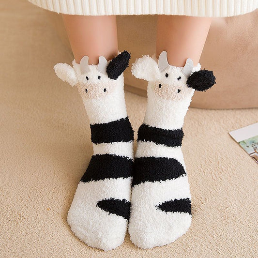 Cow Socks in a Box