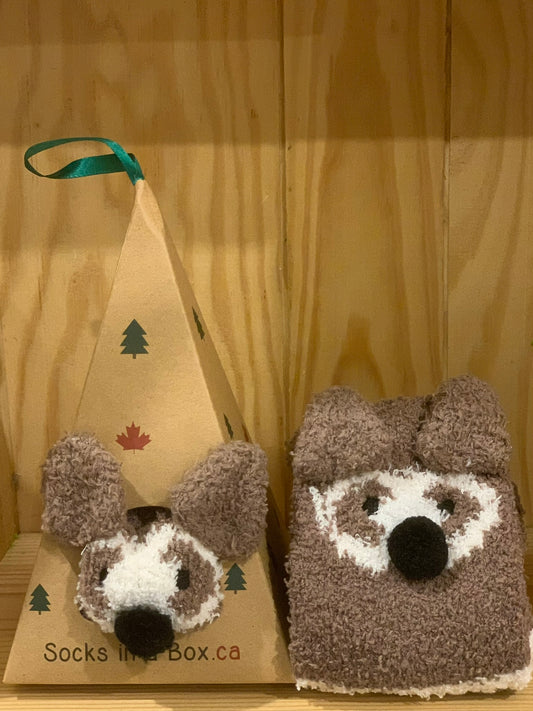 Shy Dog Socks in a Box