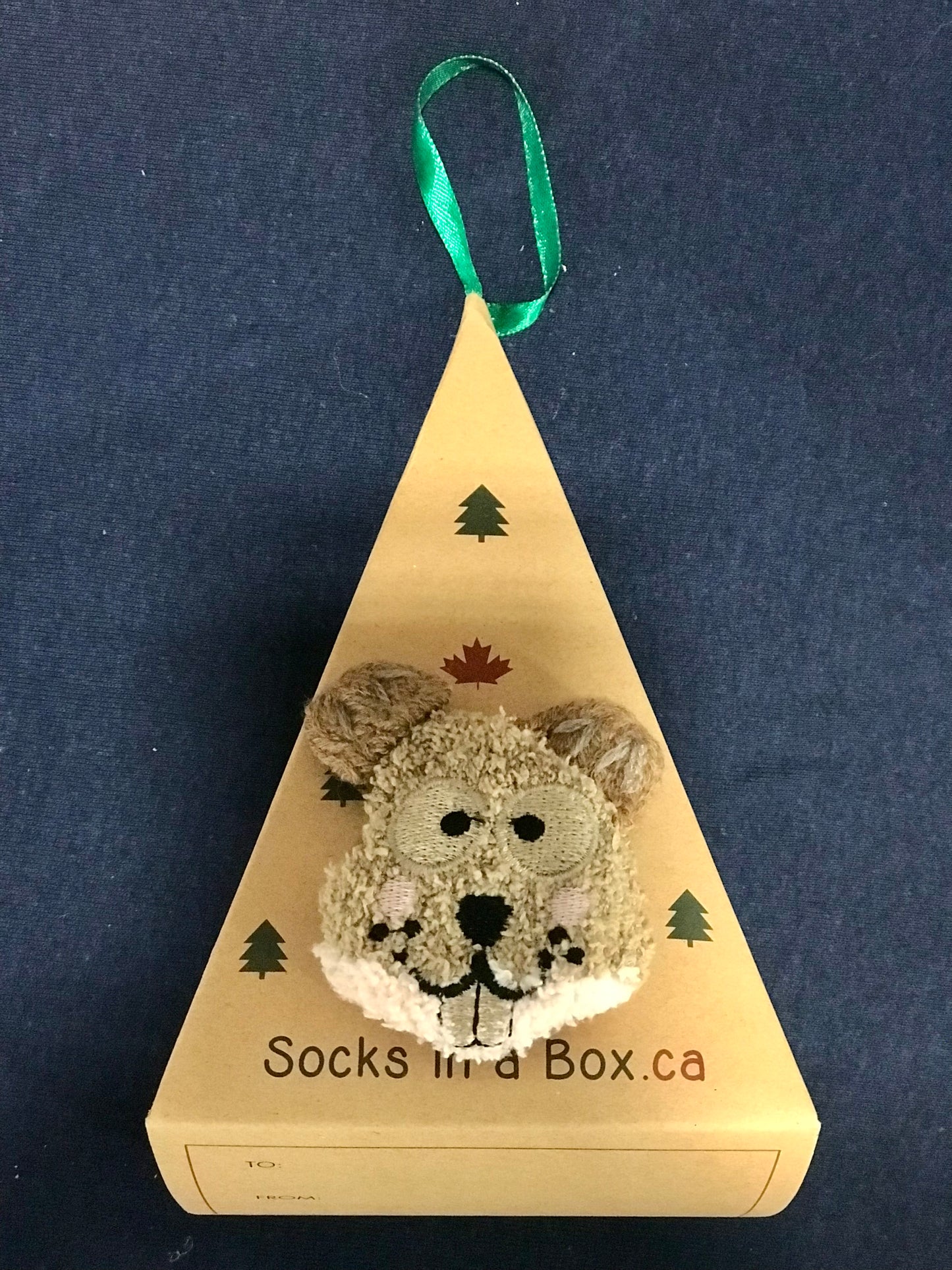 Beaver Socks in a Box