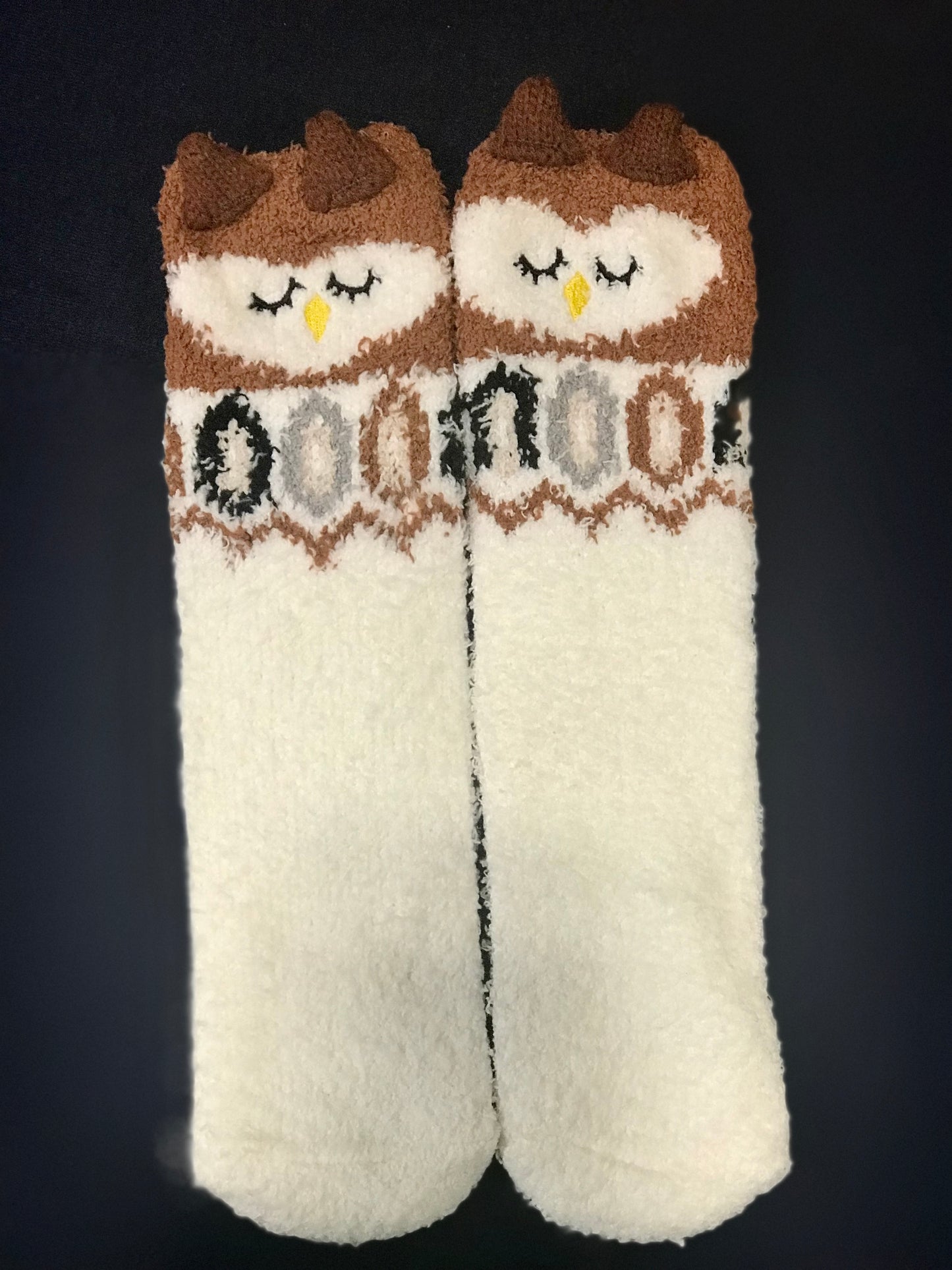 Owl Socks in a Box