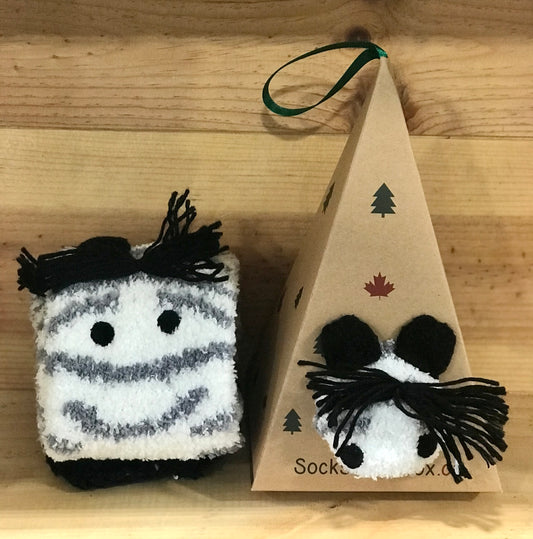 Zebra Socks in a Box